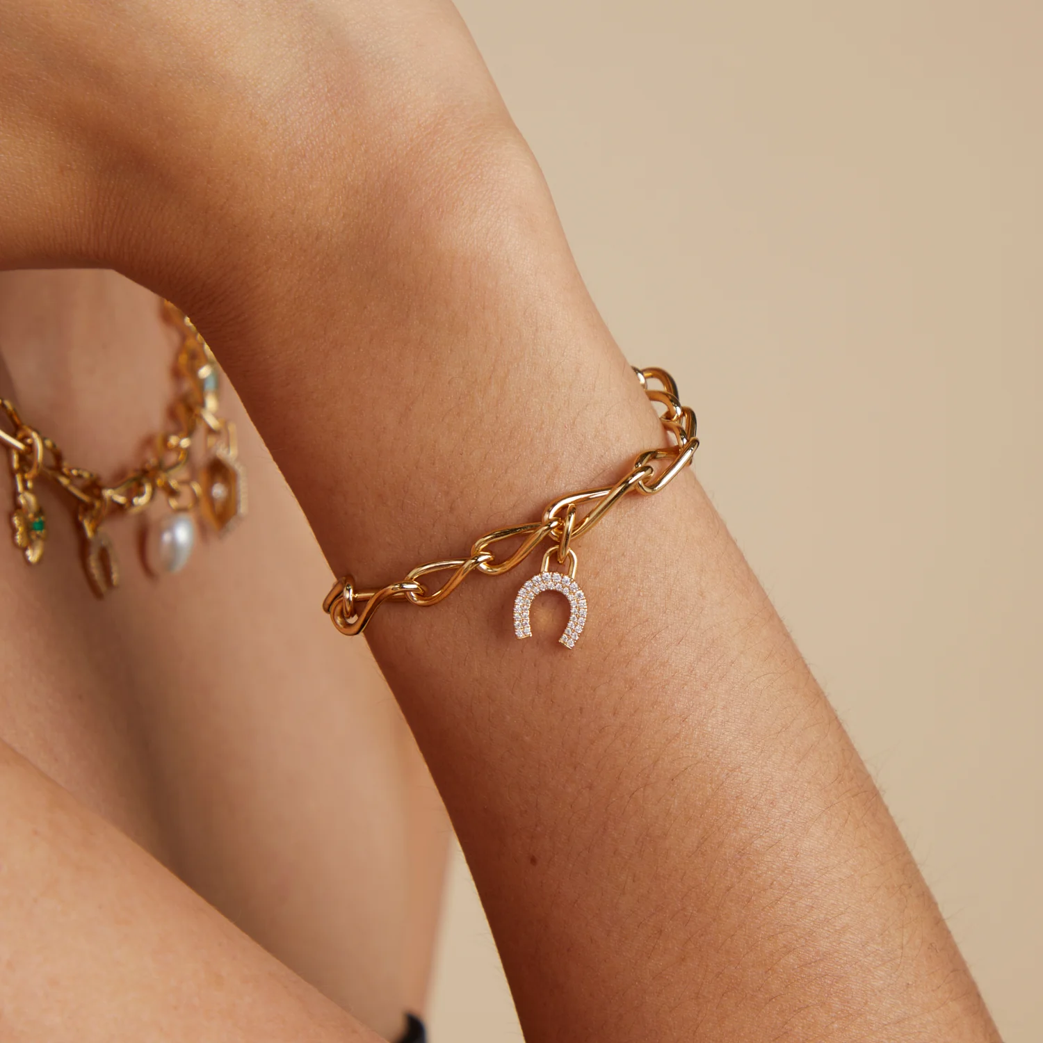 Horseshoe Clip Charm in Gold - Image 6