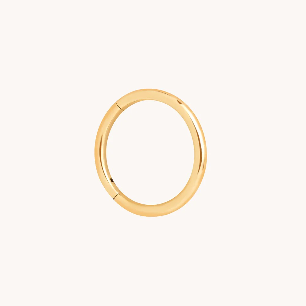 Titanium Seamless Hoop - Image 2